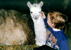 Three month old cria and Will. 