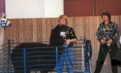 Cathy teaching behavior and training at Cornell University Veterinary School in Ithaca, New York 