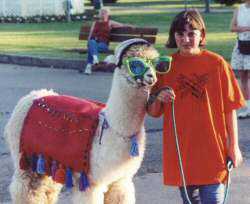 Tara Munson and her alpaca, both from Porthill, ID, heading for the LANA EXPO party in Quincy, CA. 