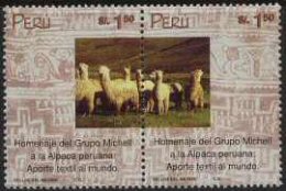 Alpaca from Peru