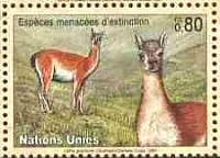 Guanaco issued by the United Nations 