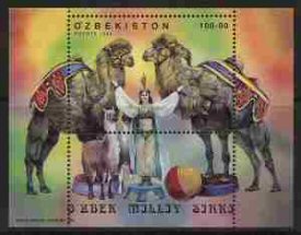 Llamas from O'zbekistan
