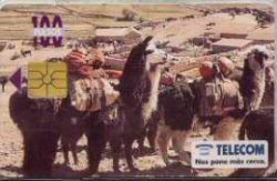 Llama Phone Card