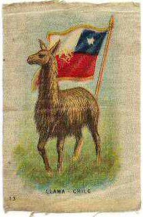 Silk picturing a llama